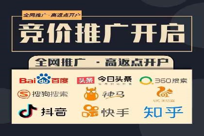 百度推广服务费案例分析：成功背后的秘密